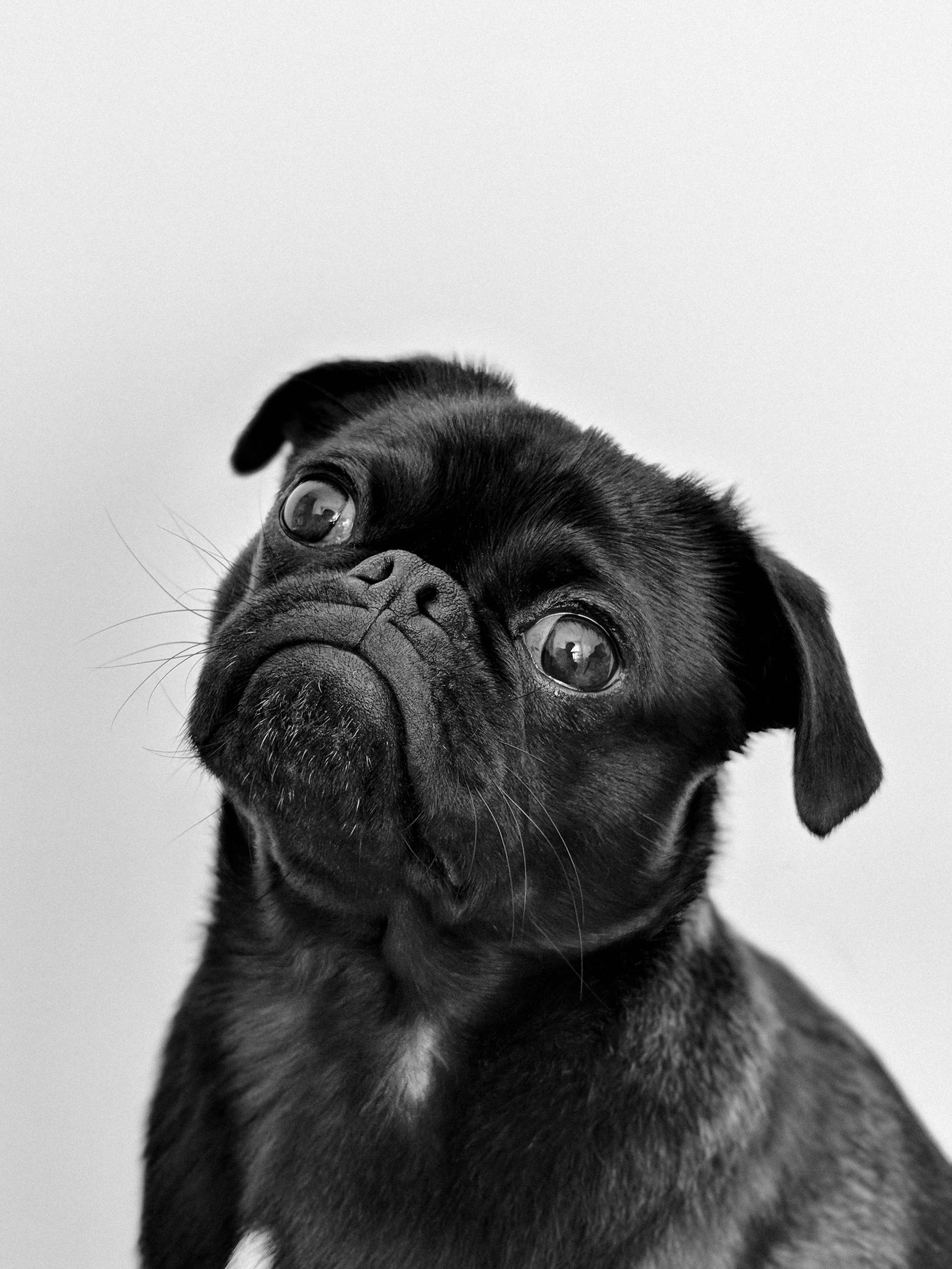 Your original photo